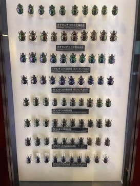 国立科学博物館に投稿された画像（2025/12/4）