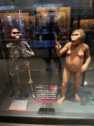 国立科学博物館に投稿された画像（2025/12/4）