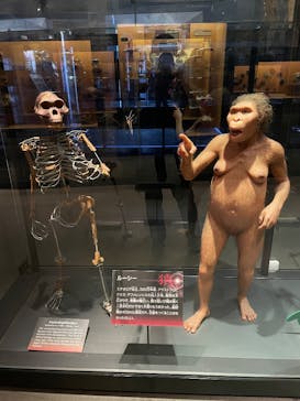 国立科学博物館に投稿された画像（2025/12/4）