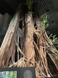 国立科学博物館に投稿された画像（2025/12/4）