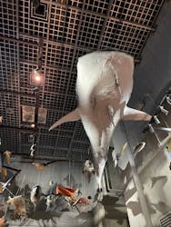 国立科学博物館に投稿された画像（2025/12/4）