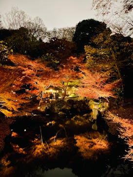 六義園に投稿された画像（2025/12/4）