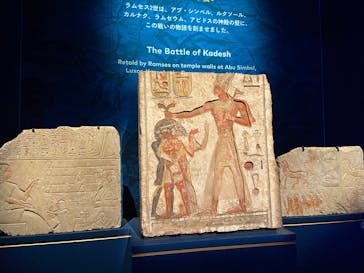 ACN ラムセス大王展 ファラオたちの黄金に投稿された画像（2025/12/4）