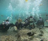 武藤潜水に投稿された画像（2025/12/4）