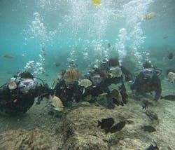 武藤潜水に投稿された画像（2025/12/4）