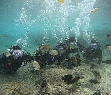 武藤潜水に投稿された画像（2025/12/4）