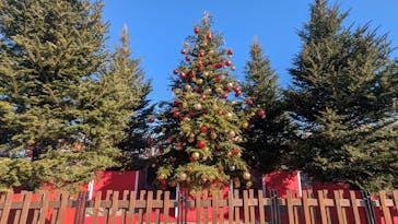 Christmas Market in 横浜赤レンガ倉庫 2025に投稿された画像（2025/12/4）