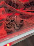 恩賜上野動物園に投稿された画像（2025/12/4）