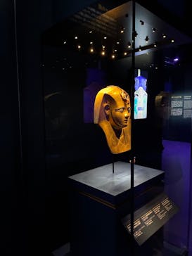 ACN ラムセス大王展 ファラオたちの黄金に投稿された画像（2025/12/4）