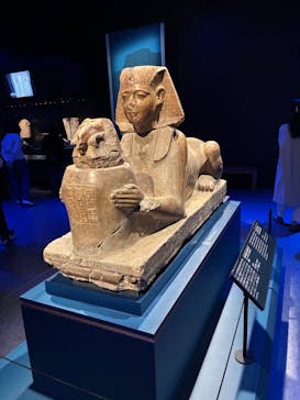 ACN ラムセス大王展 ファラオたちの黄金に投稿された画像（2025/12/4）