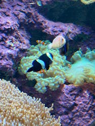 サンシャイン水族館に投稿された画像（2025/12/4）