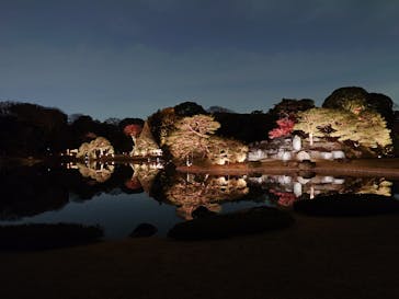 六義園に投稿された画像（2025/12/4）