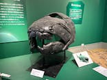 特別展「大絶滅展―生命史のビッグファイブ」に投稿された画像（2025/12/4）