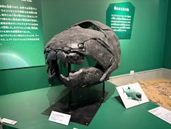 特別展「大絶滅展―生命史のビッグファイブ」に投稿された画像（2025/12/4）