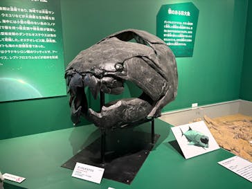特別展「大絶滅展―生命史のビッグファイブ」に投稿された画像（2025/12/4）