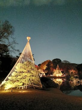 六義園に投稿された画像（2025/12/4）