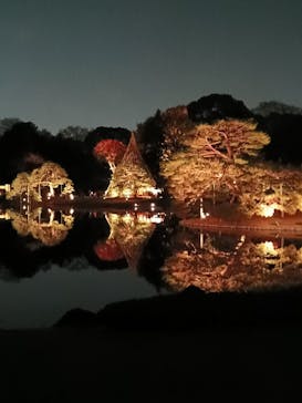 六義園に投稿された画像（2025/12/4）