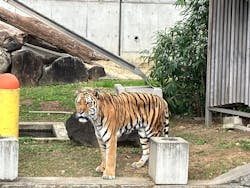 天王寺動物園に投稿された画像（2025/12/4）