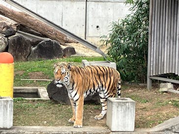 天王寺動物園に投稿された画像（2025/12/4）