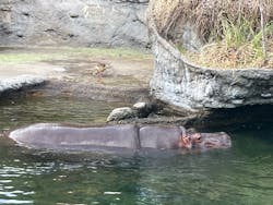 天王寺動物園に投稿された画像（2025/12/4）