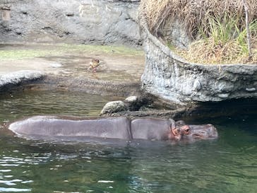 天王寺動物園に投稿された画像（2025/12/4）