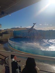 新江ノ島水族館に投稿された画像（2025/12/4）