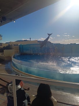 新江ノ島水族館に投稿された画像（2025/12/4）