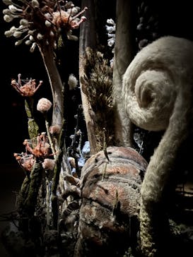 金曜ロードショーとジブリ展（静岡展）に投稿された画像（2025/12/4）