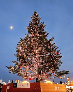 Christmas Market in 横浜赤レンガ倉庫 2025に投稿された画像（2025/12/4）