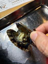 三重県真珠に投稿された画像（2025/12/4）