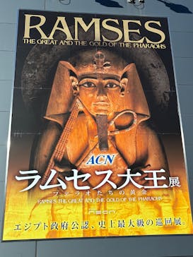 ACN ラムセス大王展 ファラオたちの黄金に投稿された画像（2025/12/4）