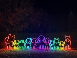 神戸イルミナージュに投稿された画像（2025/12/4）