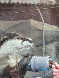 ゼロ距離水族館 伊勢シーパラダイスに投稿された画像（2025/12/4）