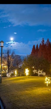 安城産業文化公園デンパークに投稿された画像（2025/12/4）