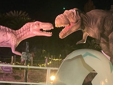 伊豆高原グランイルミに投稿された画像（2025/12/4）