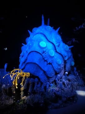 金曜ロードショーとジブリ展（静岡展）に投稿された画像（2025/12/4）