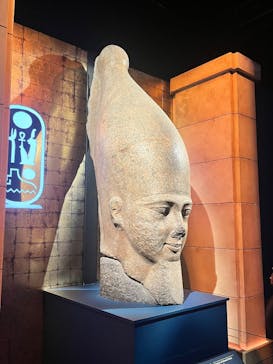 ACN ラムセス大王展 ファラオたちの黄金に投稿された画像（2025/12/4）