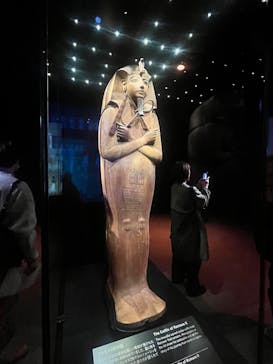 ACN ラムセス大王展 ファラオたちの黄金に投稿された画像（2025/12/4）