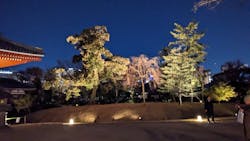 ASAKUSA CULTURE & LIGHTS 2025に投稿された画像（2025/12/4）