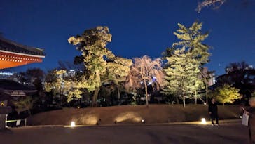 ASAKUSA CULTURE & LIGHTS 2025に投稿された画像（2025/12/4）