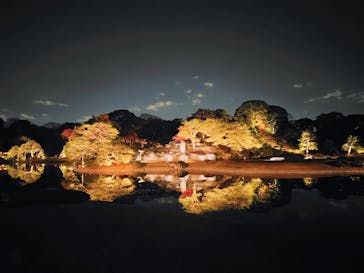 六義園に投稿された画像（2025/12/4）