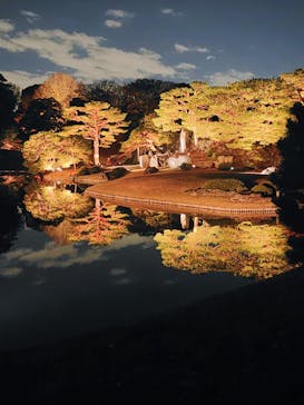 六義園に投稿された画像（2025/12/4）