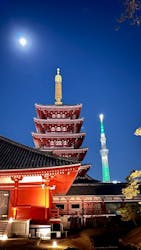 ASAKUSA CULTURE & LIGHTS 2025に投稿された画像（2025/12/4）