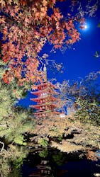 ASAKUSA CULTURE & LIGHTS 2025に投稿された画像（2025/12/4）