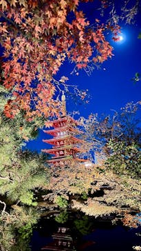 ASAKUSA CULTURE & LIGHTS 2025に投稿された画像（2025/12/4）