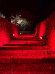 体験王国 むら咲むらに投稿された画像（2025/12/4）