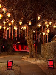 体験王国 むら咲むらに投稿された画像（2025/12/4）