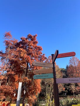 ムーミンバレーパークに投稿された画像（2025/12/4）