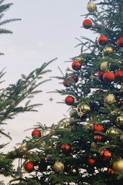 Christmas Market in 横浜赤レンガ倉庫 2025に投稿された画像（2025/12/4）