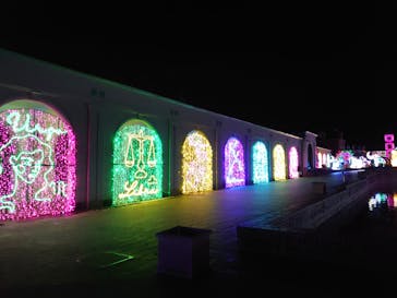 神戸イルミナージュに投稿された画像（2025/12/4）